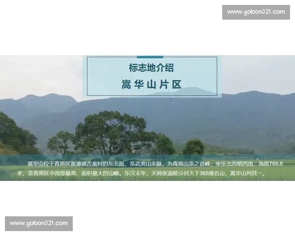 风雨兼程:不问前路,只赴山海